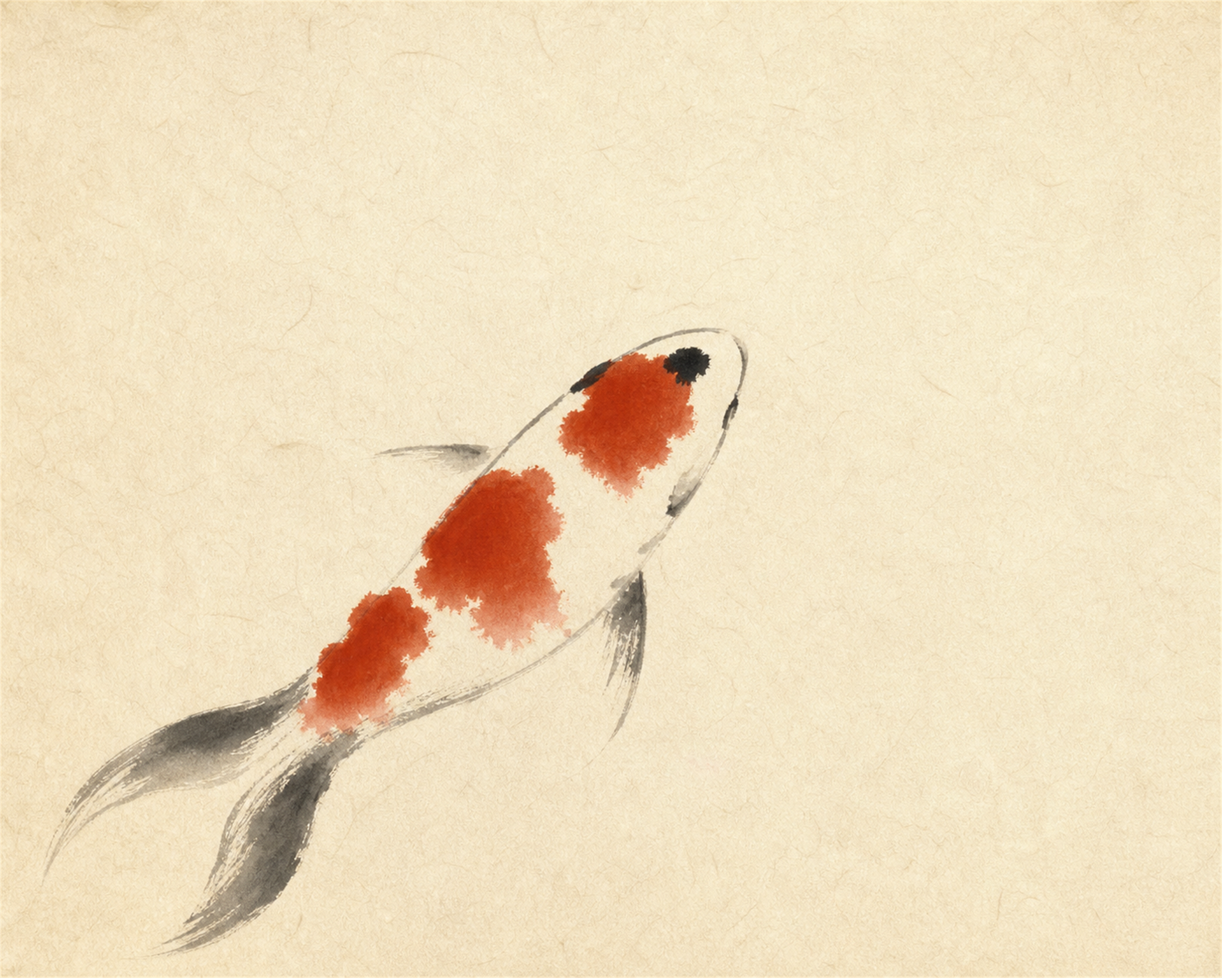 Sumi-e kohaku koi swimming across cream washi paper